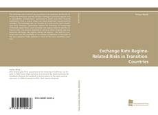 Buchcover von Exchange Rate Regime-Related Risks in Transition Countries