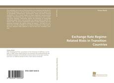 Exchange Rate Regime-Related Risks in Transition Countries kitap kapağı