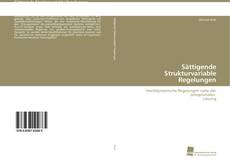 Capa do livro de Sättigende Strukturvariable Regelungen 