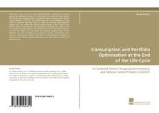 Bookcover of Consumption and Portfolio Optimisation at the End of the Life-Cycle