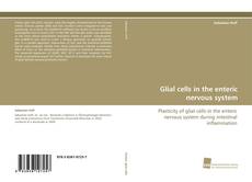 Glial cells in the enteric nervous system kitap kapağı