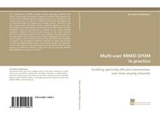 Copertina di Multi-user MIMO-OFDM in practice