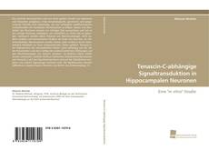 Portada del libro de Tenascin-C-abhängige Signaltransduktion in Hippocampalen Neuronen