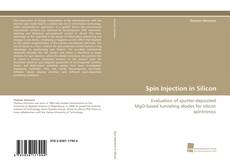 Copertina di Spin Injection in Silicon