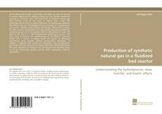 Portada del libro de Production of synthetic natural gas in a fluidized bed reactor