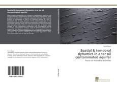 Copertina di Spatial & temporal dynamics in a tar oil contaminated aquifer