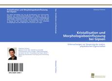 Copertina di Kristallisation und Morphologiebeeinflussung bei Gipsen