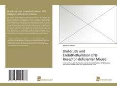 Copertina di Blutdruck und Endothelfunktion ETB-Rezeptor-defizienter Mäuse