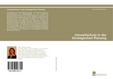 Portada del libro de Umweltschutz in der Strategischen Planung