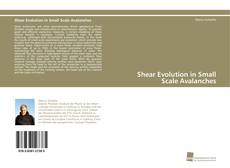 Portada del libro de Shear Evolution in Small Scale Avalanches