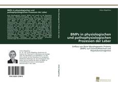 Buchcover von BMPs in physiologischen und pathophysiologischen Prozessen der Leber