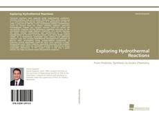 Portada del libro de Exploring Hydrothermal Reactions