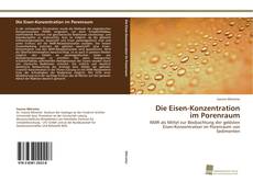 Copertina di Die Eisen-Konzentration im Porenraum