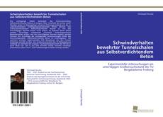 Copertina di Schwindverhalten bewehrter Tunnelschalen aus Selbstverdichtendem Beton