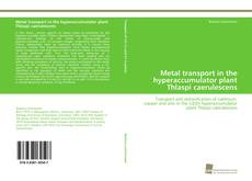 Couverture de Metal transport in the hyperaccumulator plant Thlaspi caerulescens