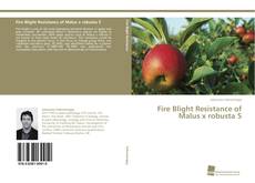 Copertina di Fire Blight Resistance of Malus x robusta 5