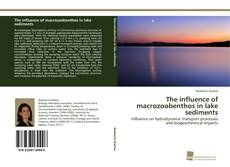 Copertina di The influence of macrozoobenthos in lake sediments