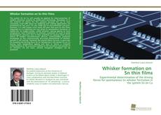 Copertina di Whisker formation on Sn thin films