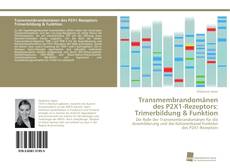 Copertina di Transmembrandomänen des P2X1-Rezeptors: Trimerbildung & Funktion