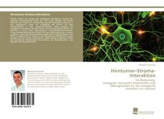 Portada del libro de Hirntumor-Stroma-Interaktion