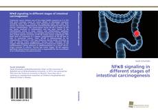 Couverture de NFκB signaling in different stages of intestinal carcinogenesis