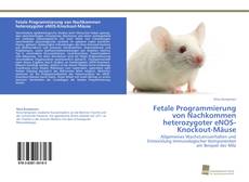 Couverture de Fetale Programmierung von Nachkommen heterozygoter eNOS-Knockout-Mäuse