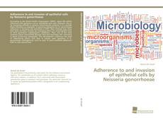 Portada del libro de Adherence to and invasion of epithelial cells by Neisseria gonorrhoeae