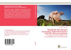 Copertina di Vergleich der Rassen Turopolje, Hybridschweine und der Kreuzungstiere