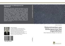 Portada del libro de Determinanten von Bildungsarmut bei Jugendlichen