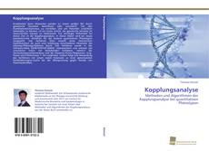 Couverture de Kopplungsanalyse