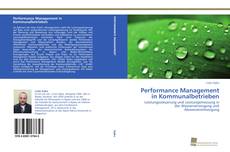 Capa do livro de Performance Management in Kommunalbetrieben 