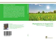 Capa do livro de Phytoplasma in Sugarcane 