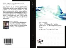 Fibres d'Afrique: le raphia, extraction et transformation au Bénin kitap kapağı