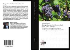 Biosynthèse des flavan-3-ols chez Vitis vinifera kitap kapağı