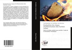 Capa do livro de Evaluation du risque d’inflammation des fumées riches 