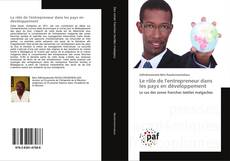 Couverture de Le rôle de l'entrepreneur dans les pays en développement