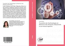 Transfert de Technologie et Maitrise des Risques Industriels kitap kapağı