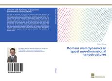 Copertina di Domain wall dynamics in quasi one-dimensional nanostructures