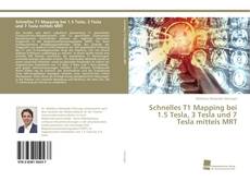 Portada del libro de Schnelles T1 Mapping bei 1.5 Tesla, 3 Tesla und 7 Tesla mittels MRT