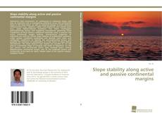 Copertina di Slope stability along active and passive continental margins