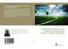 Copertina di Cadastral Procedure and Spatial Framwork for Amhara Region, Ethiopia