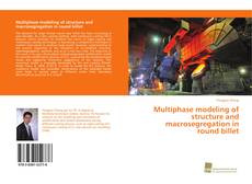 Multiphase modeling of structure and macrosegregation in round billet kitap kapağı