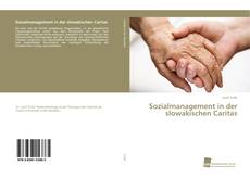 Capa do livro de Sozialmanagement in der slowakischen Caritas 