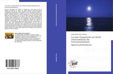 La mer Caspienne en droit international de l'environnement的封面