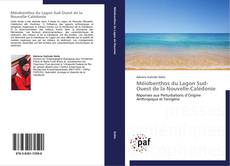 Bookcover of Méiobenthos du Lagon Sud-Ouest de la Nouvelle-Calédonie