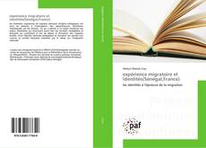 expérience migratoire et identités(Sénégal,France) kitap kapağı