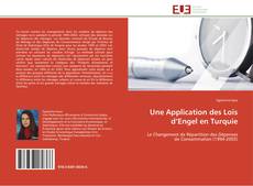 Bookcover of Une Application des Lois d’Engel en Turquie