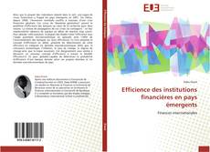 Efficience des institutions financières en pays émergents kitap kapağı