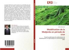 Modélisation de la Medjerda en période de crue kitap kapağı