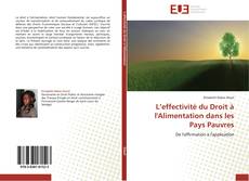 Bookcover of L’effectivité du Droit à l'Alimentation dans les Pays Pauvres